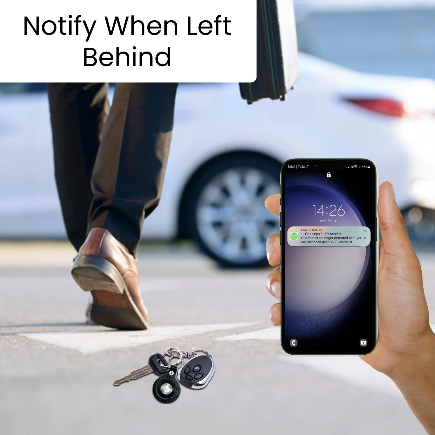 Dolphin Smart Tracker Huthur - RealmSelect